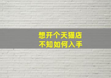 想开个天猫店 不知如何入手